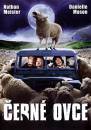 DVD film: ern ovce