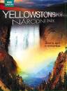 DVD film: Yellowstonsk nrodn park