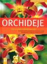 Klikni pro zvten KNIHY: Orchideje - zahrada pro radost