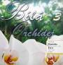 Klikni pro zvten CD: Bl orchidej 3.
