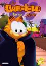 DVD film: Garfield Show - 11. DVD